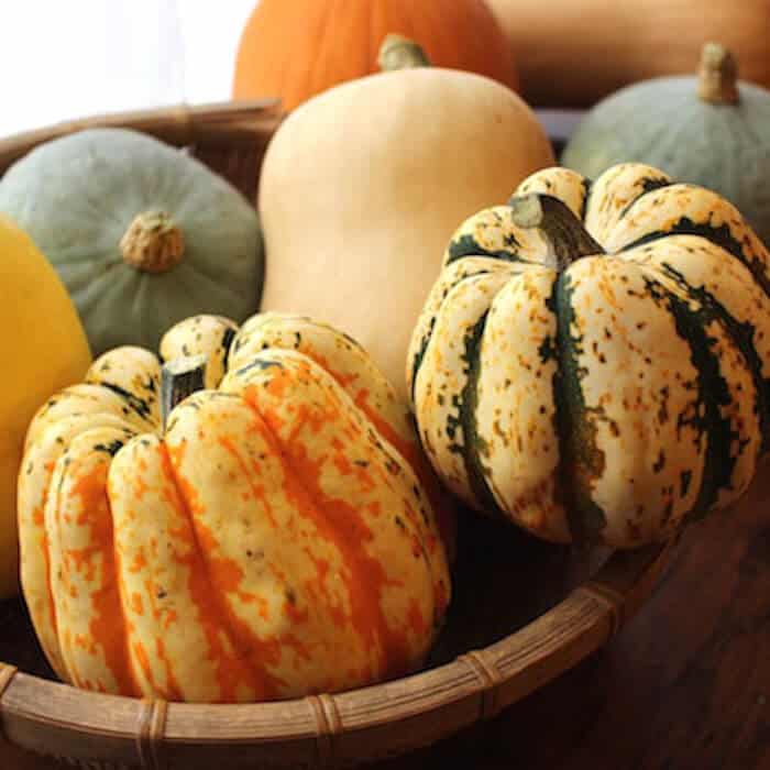 Sweet Dumpling Squash - Image 12