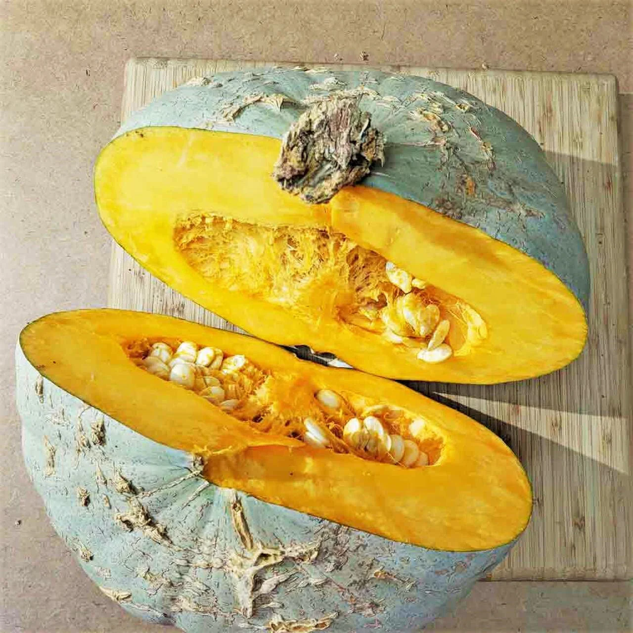Sweet Meat Winter Squash - Image 3