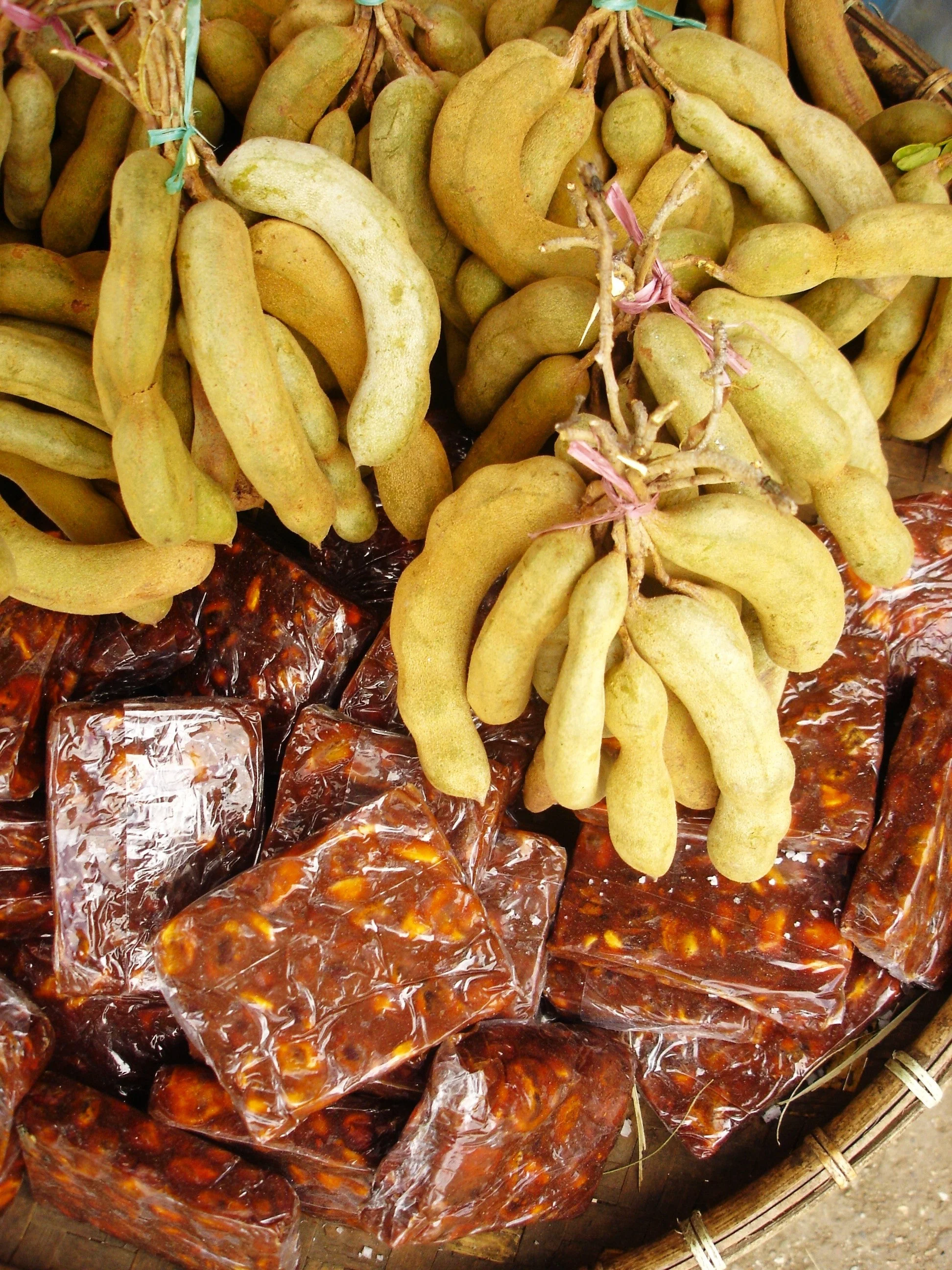 Tamarind Tree - Image 9