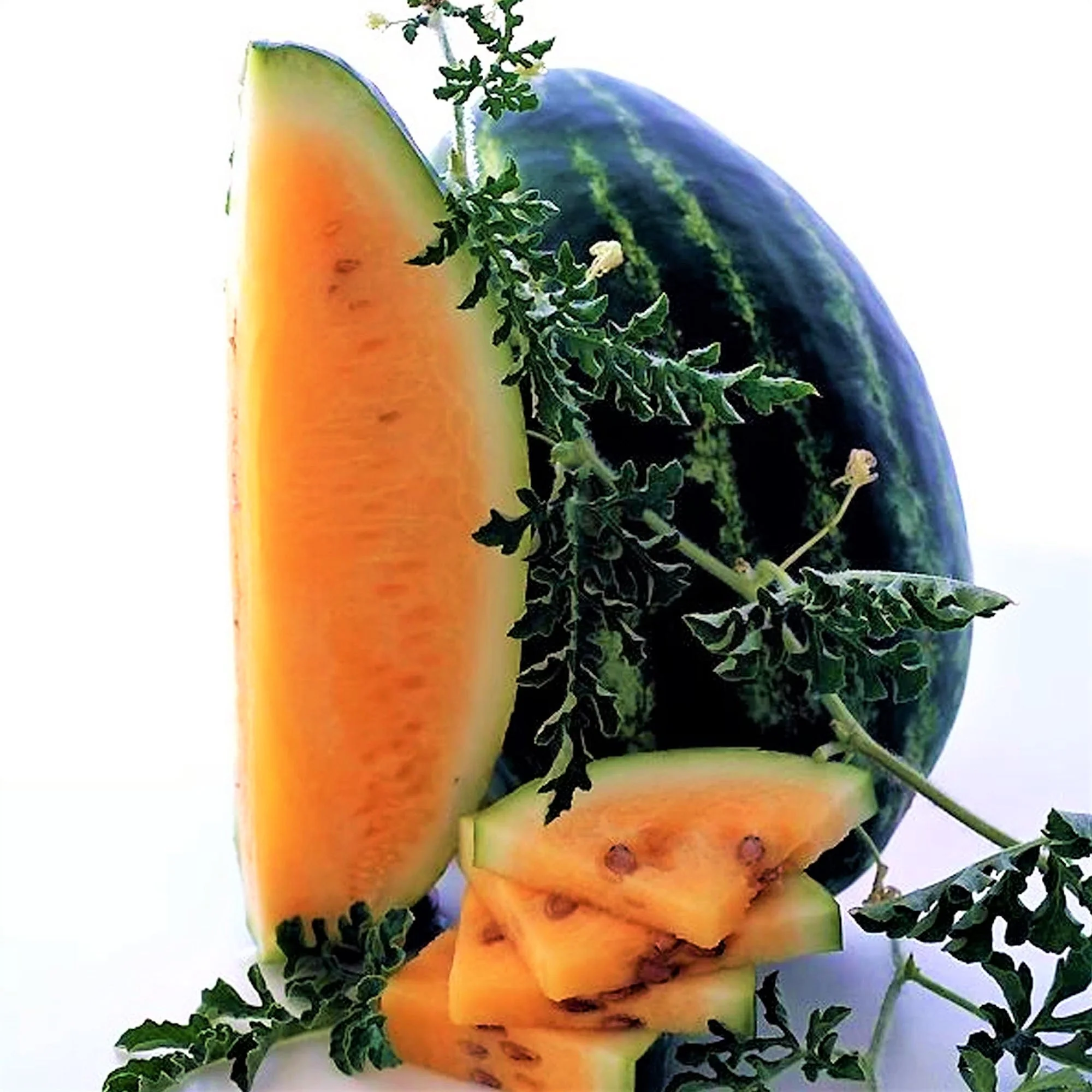 Tendersweet Orange Watermelon - Image 3