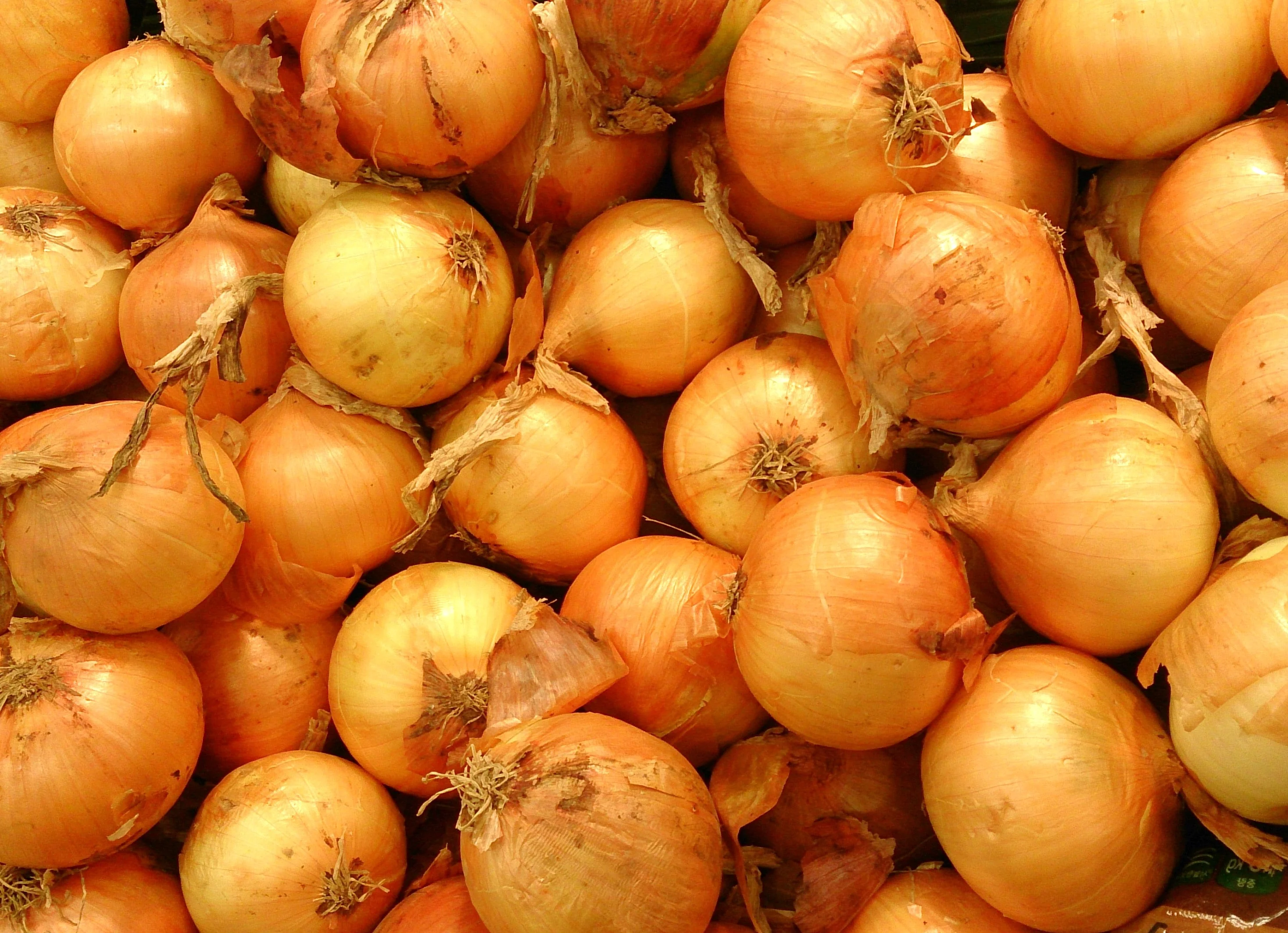 Texas 1015Y SuperSweet Onion - Image 5