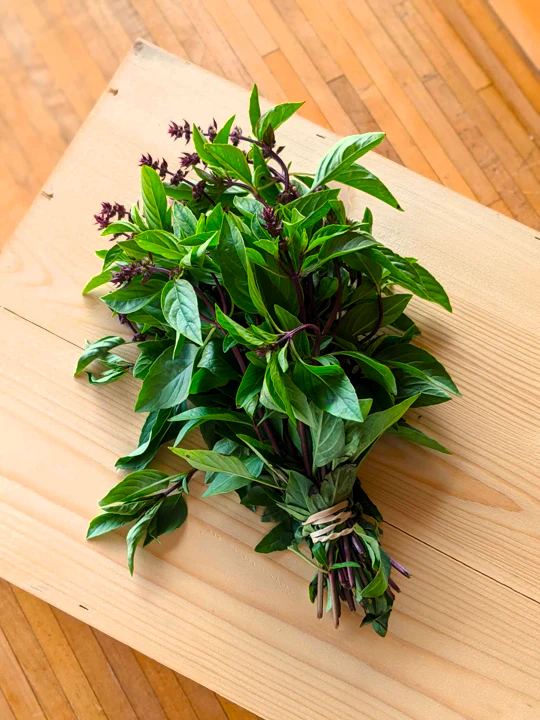 Thai Basil - Image 3