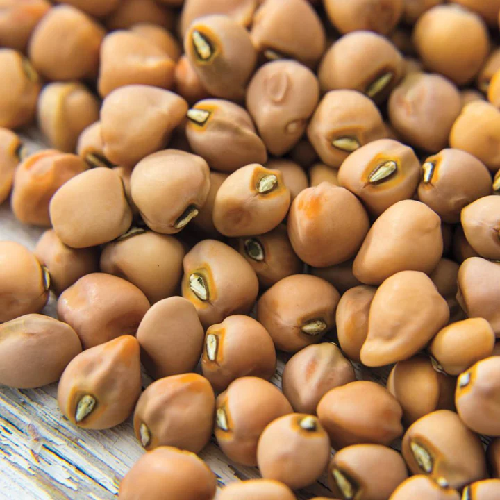Top Pick Brown Crowder Cowpea - Image 4