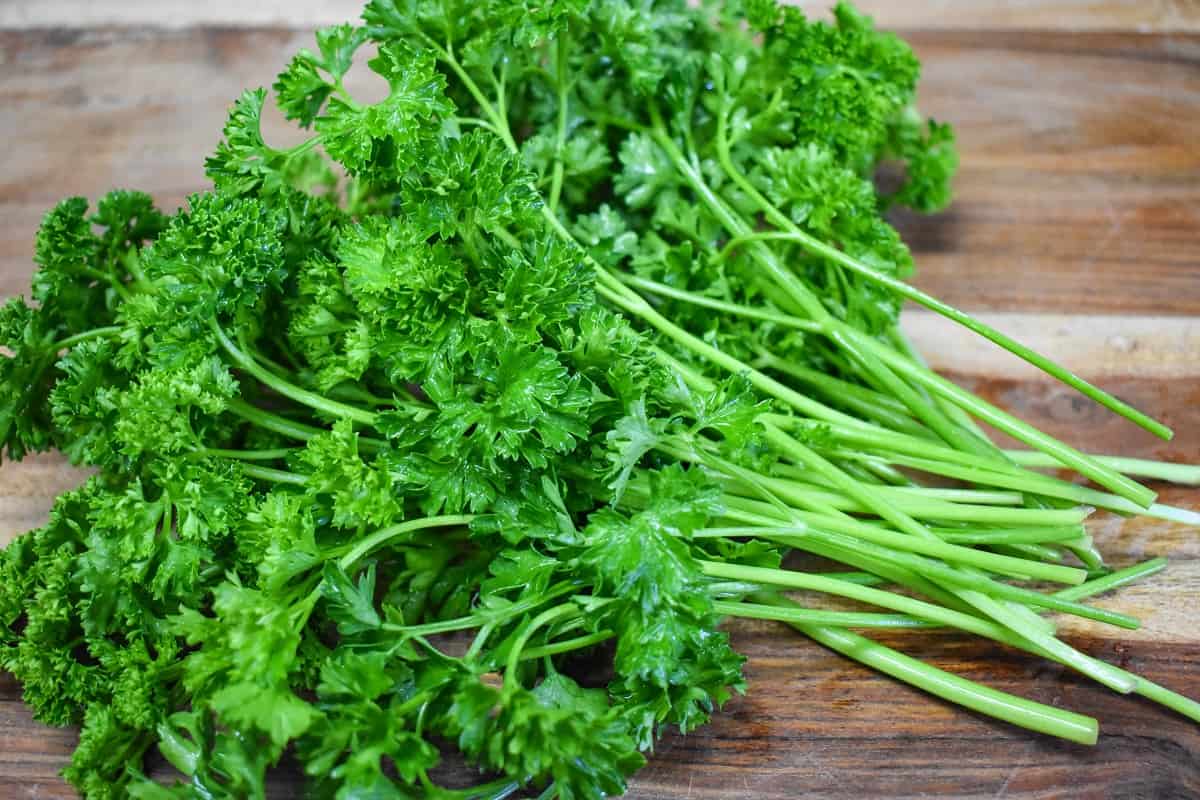 Triple Moss Curled Parsley - Image 3