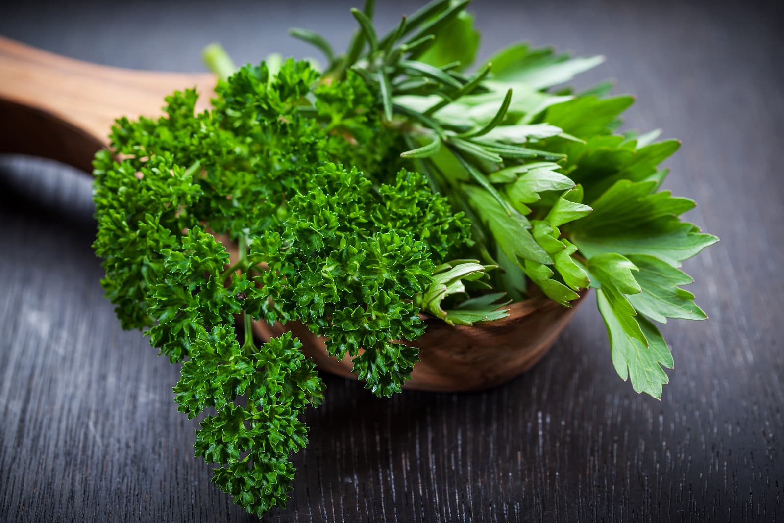 Triple Moss Curled Parsley - Image 5