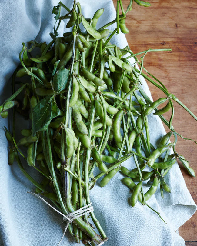 Triple Play Edamame Soy Bean - Image 3