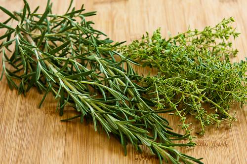 True Winter Thyme - Image 2