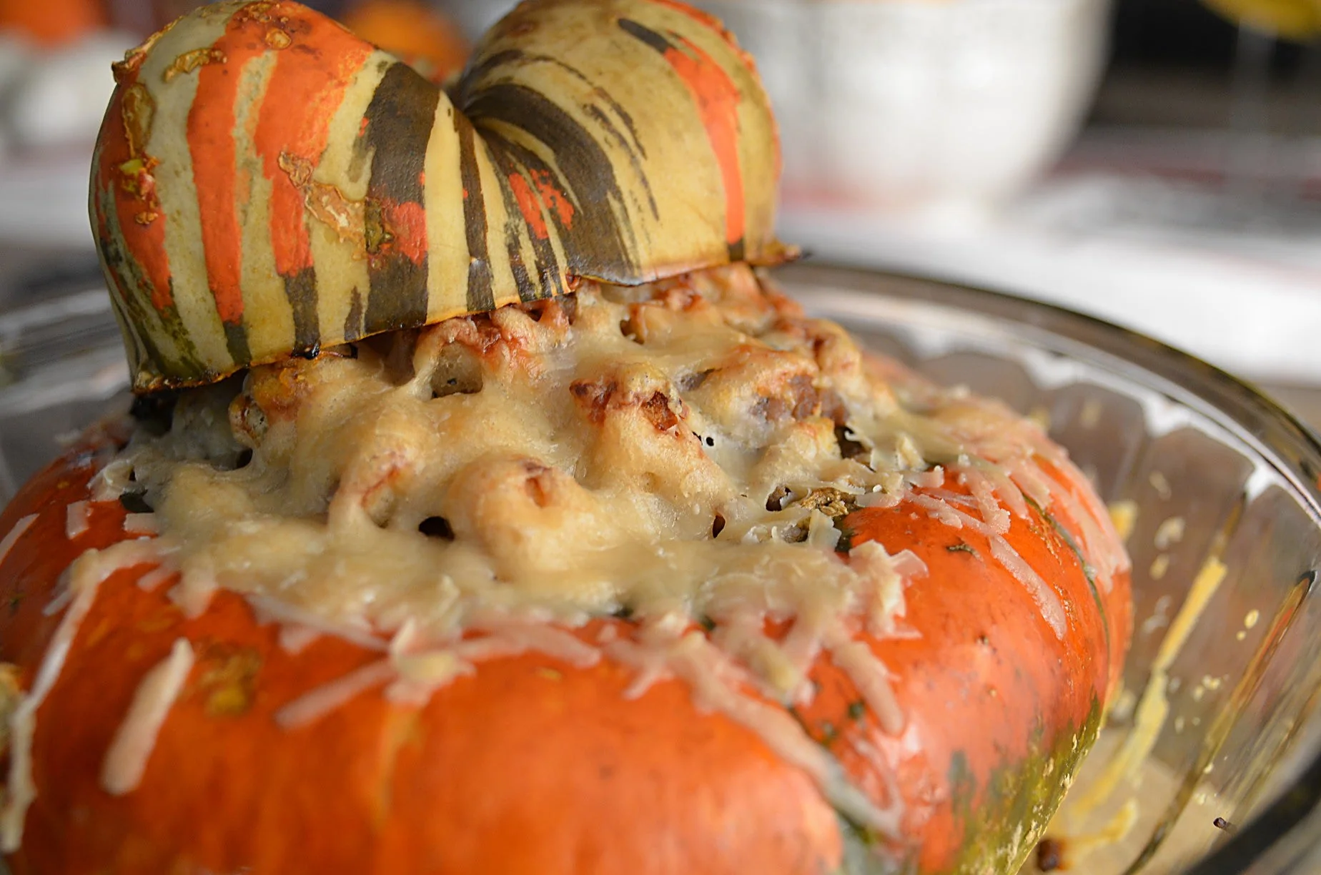 Turk's Turban Pumpkin - Image 10