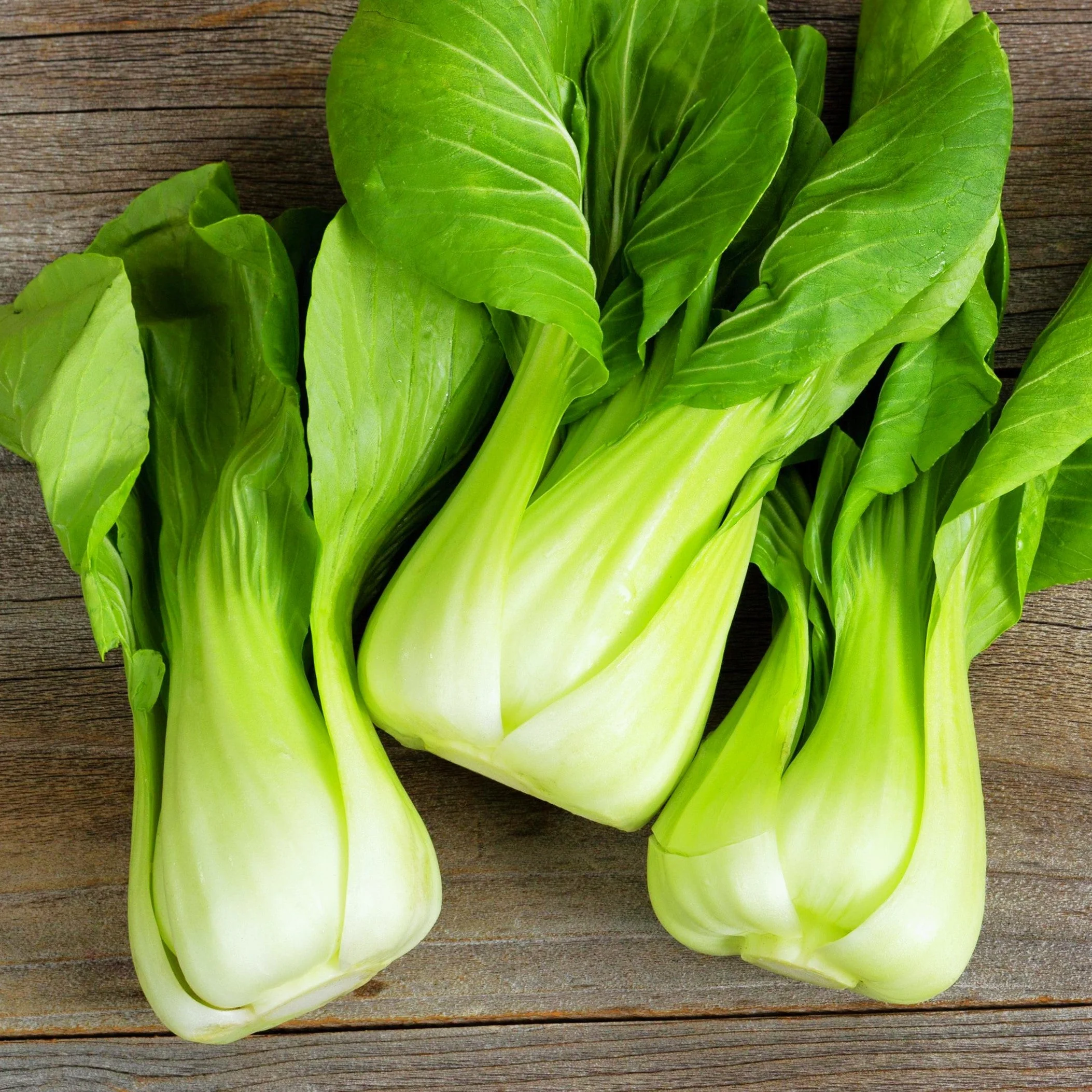 Wa Wa Qing Bok Choy - Image 14
