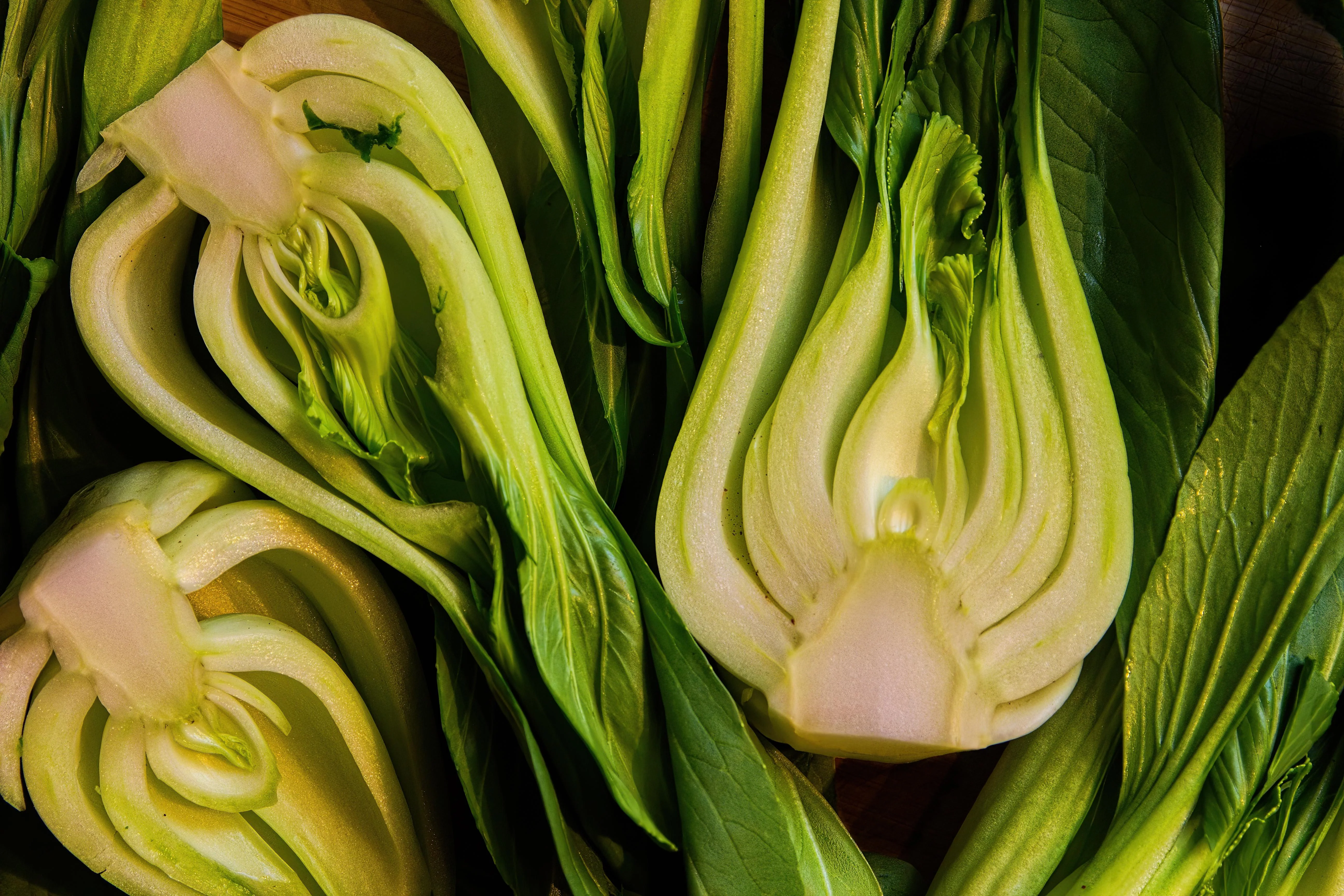 Wa Wa Qing Bok Choy - Image 4