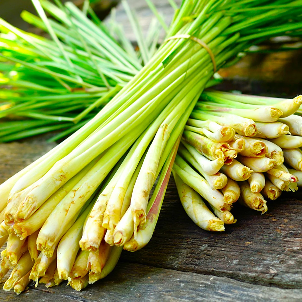 West Indian Lemongrass