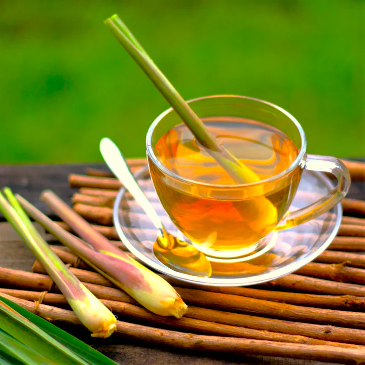 West Indian Lemongrass - Image 3