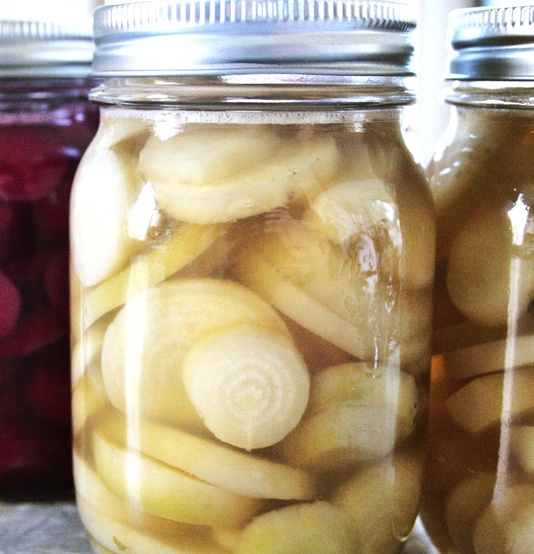 White Albino Beet - Image 5