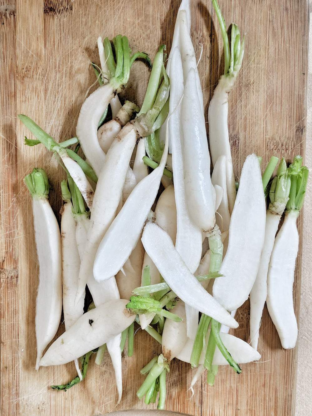 White Icicle Radish - Image 3