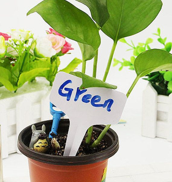 White T-Shaped Plant Labels - Image 5