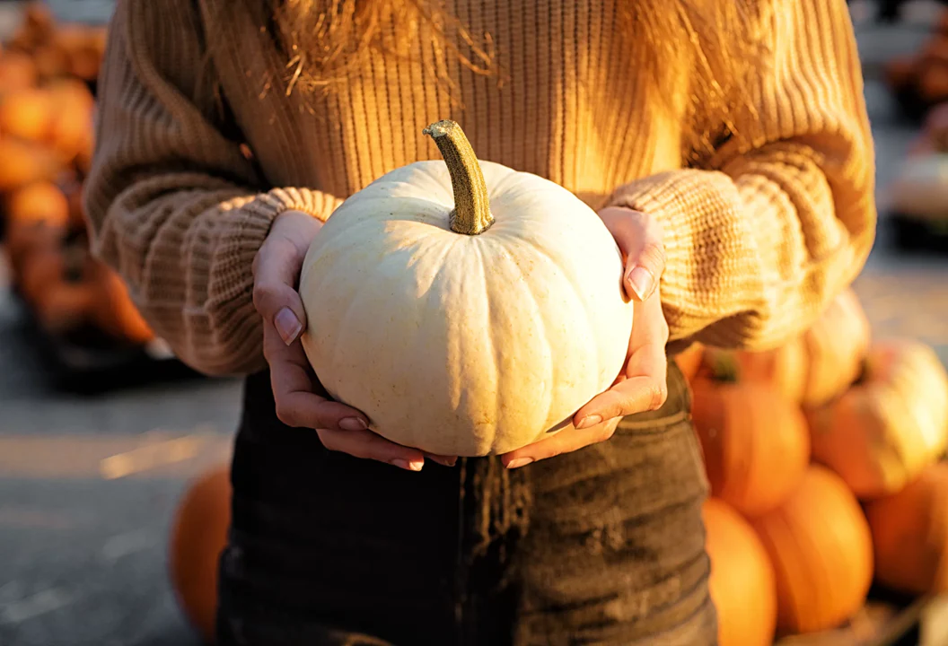 White Queen Pumpkin - Image 7