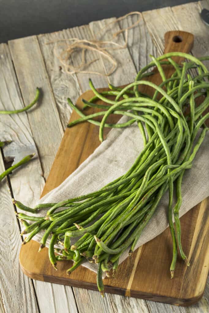 White Yard Long Bean - Image 3