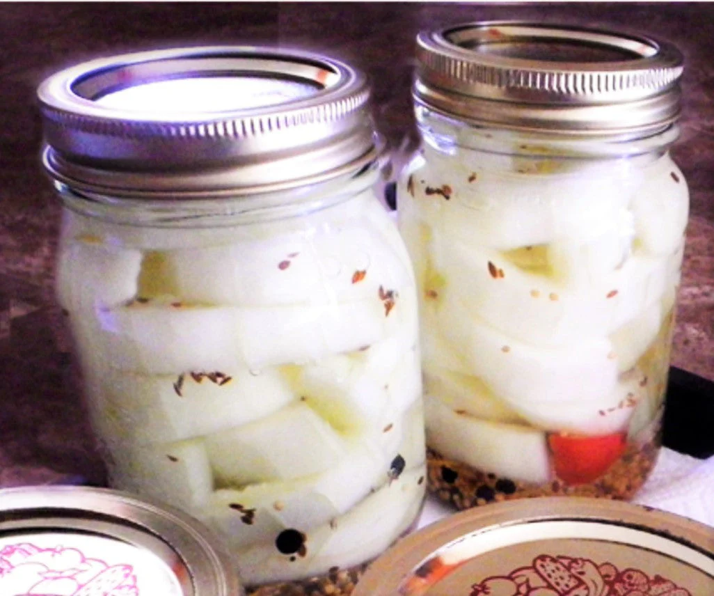 White Wonder Cucumber - Image 12