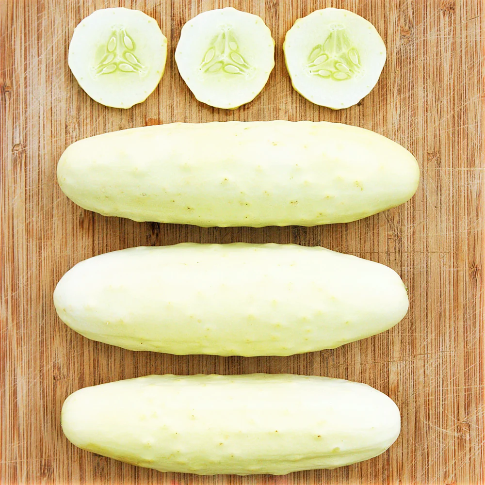 White Wonder Cucumber - Image 5