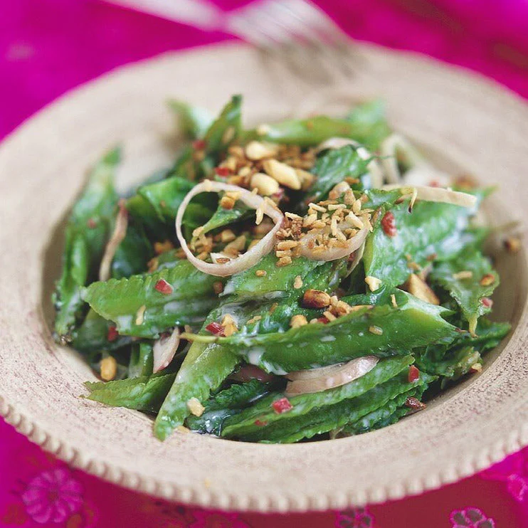 Winged Bean - Image 10