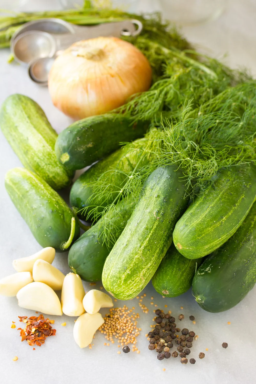 Wisconsin SMR58 Pickling Cucumber - Image 8