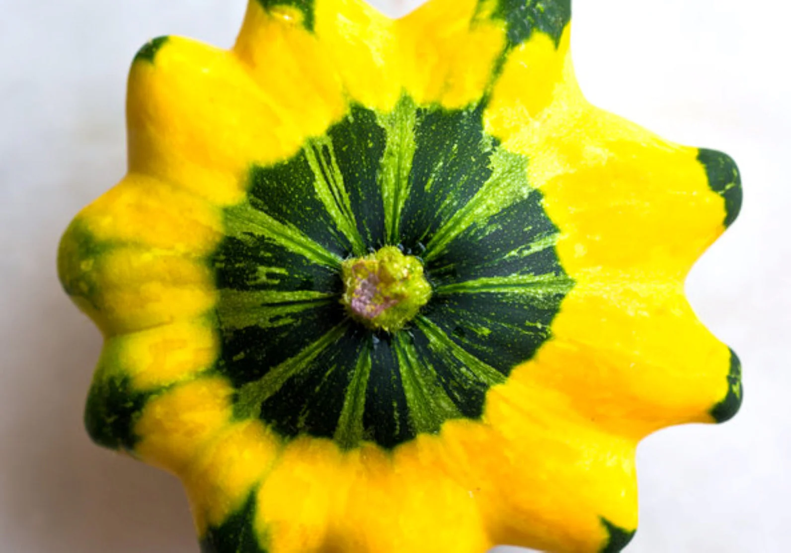 Yellow and Green Bicolor Patty Pan (Bush Scallop Squash) - Image 8