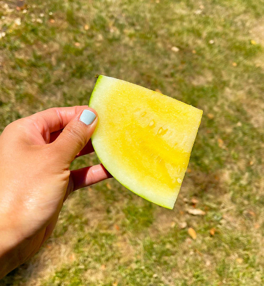 Yellow Petite Watermelon - Image 5