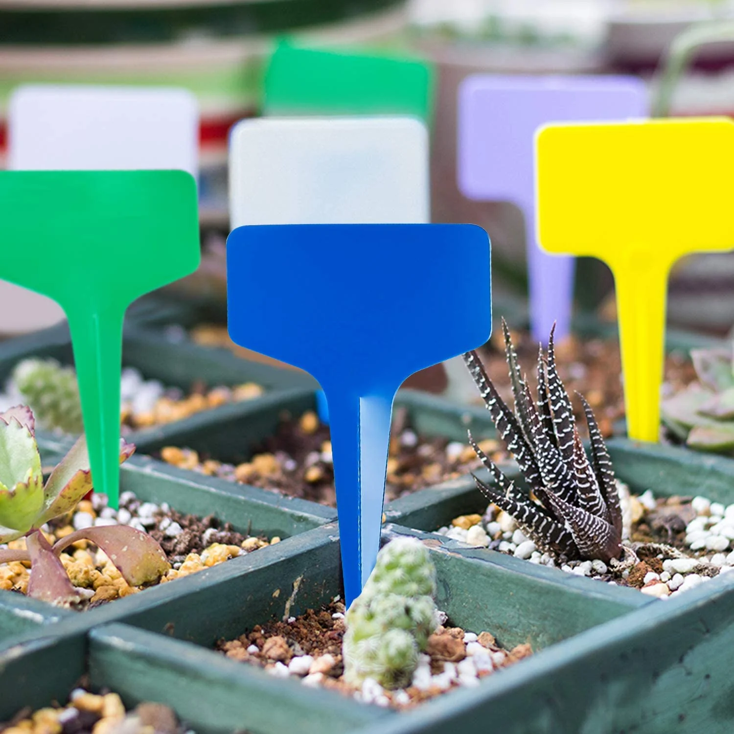Yellow T-Shaped Plant Labels - Image 3