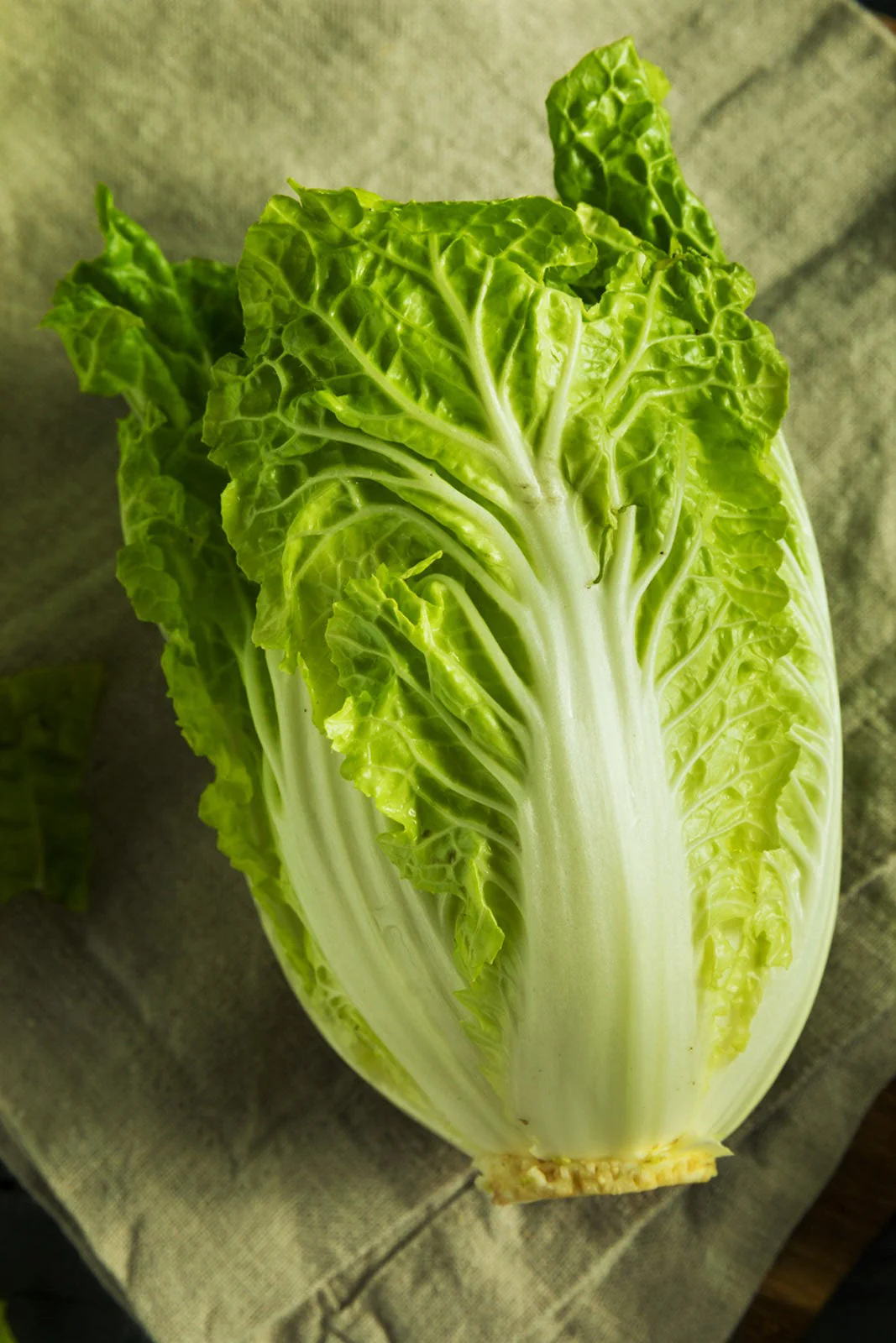Yong Chinese Napa Cabbage - Image 3