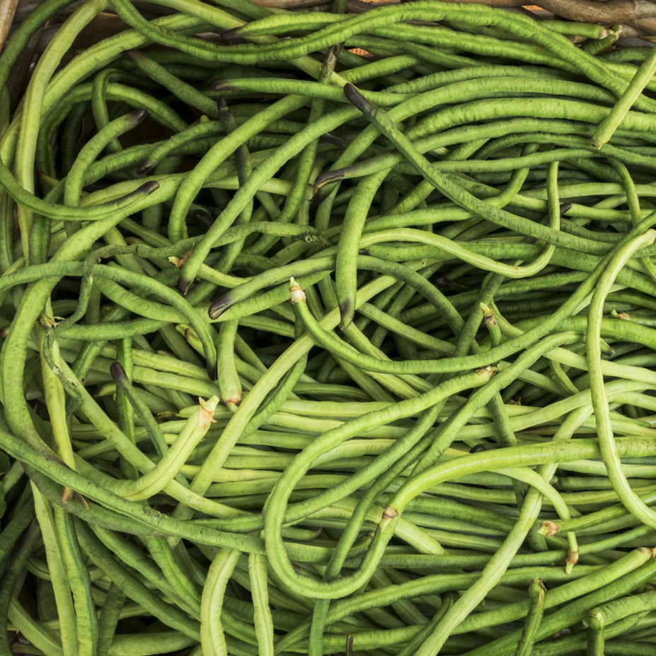You Fong Wong Black Seeded Yard Long Bean - Image 12