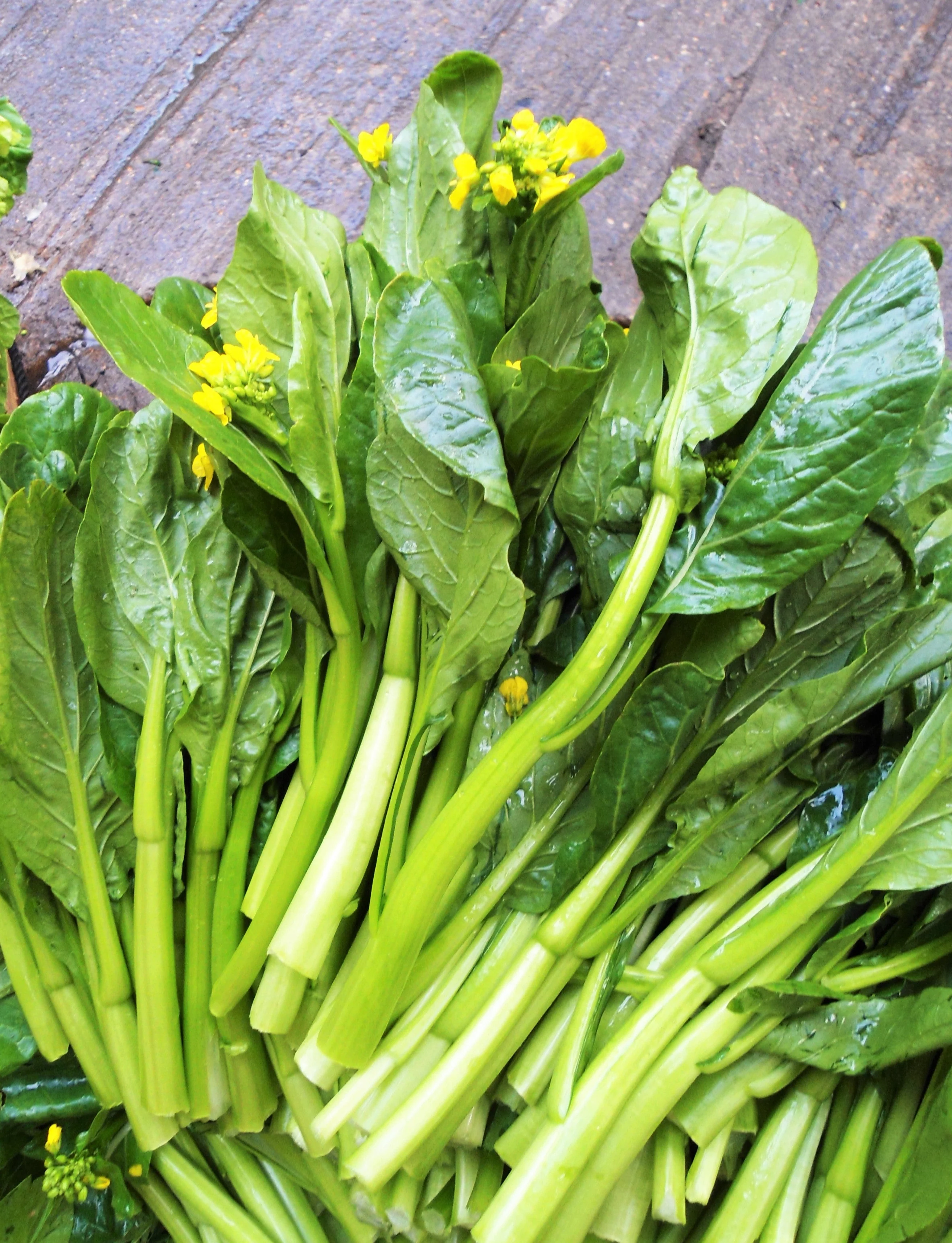 70D Improved Green Yu Choy Sum - Image 3