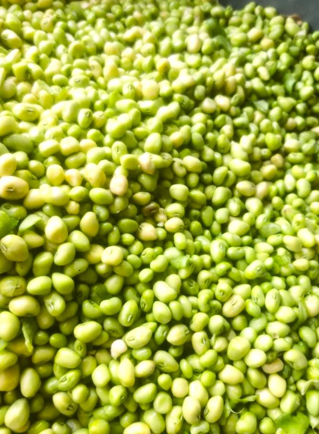 Zipper Cream Pea (Treated) - Image 6
